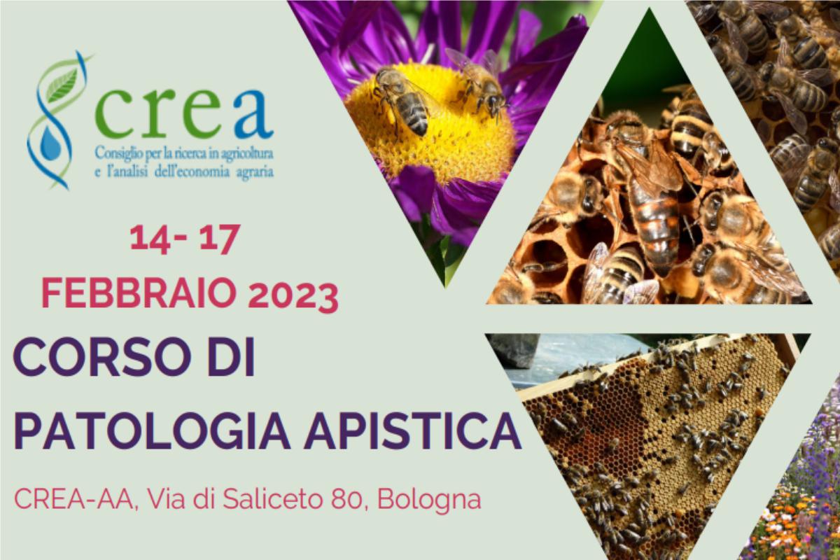 locandina corsi crea by crea jpg