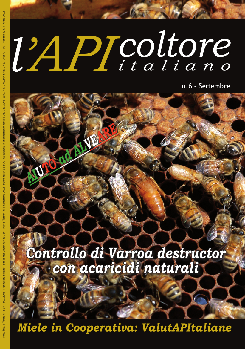 copertina 6 22