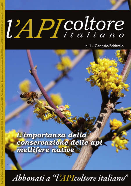 copertina 1 22