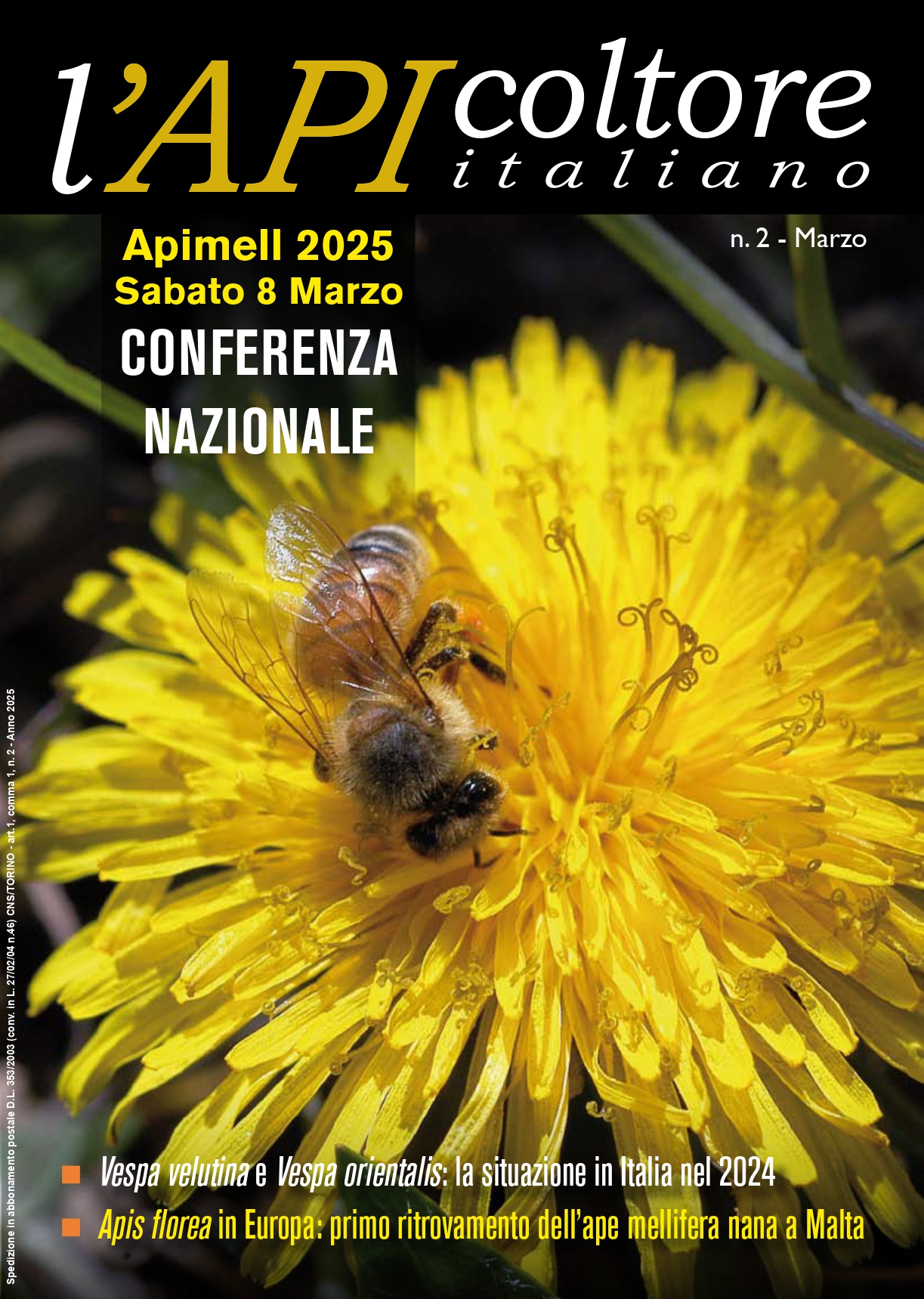 copertina 1 25