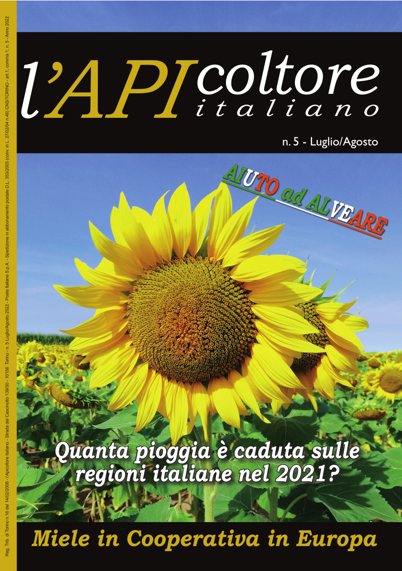 copertina 5 22