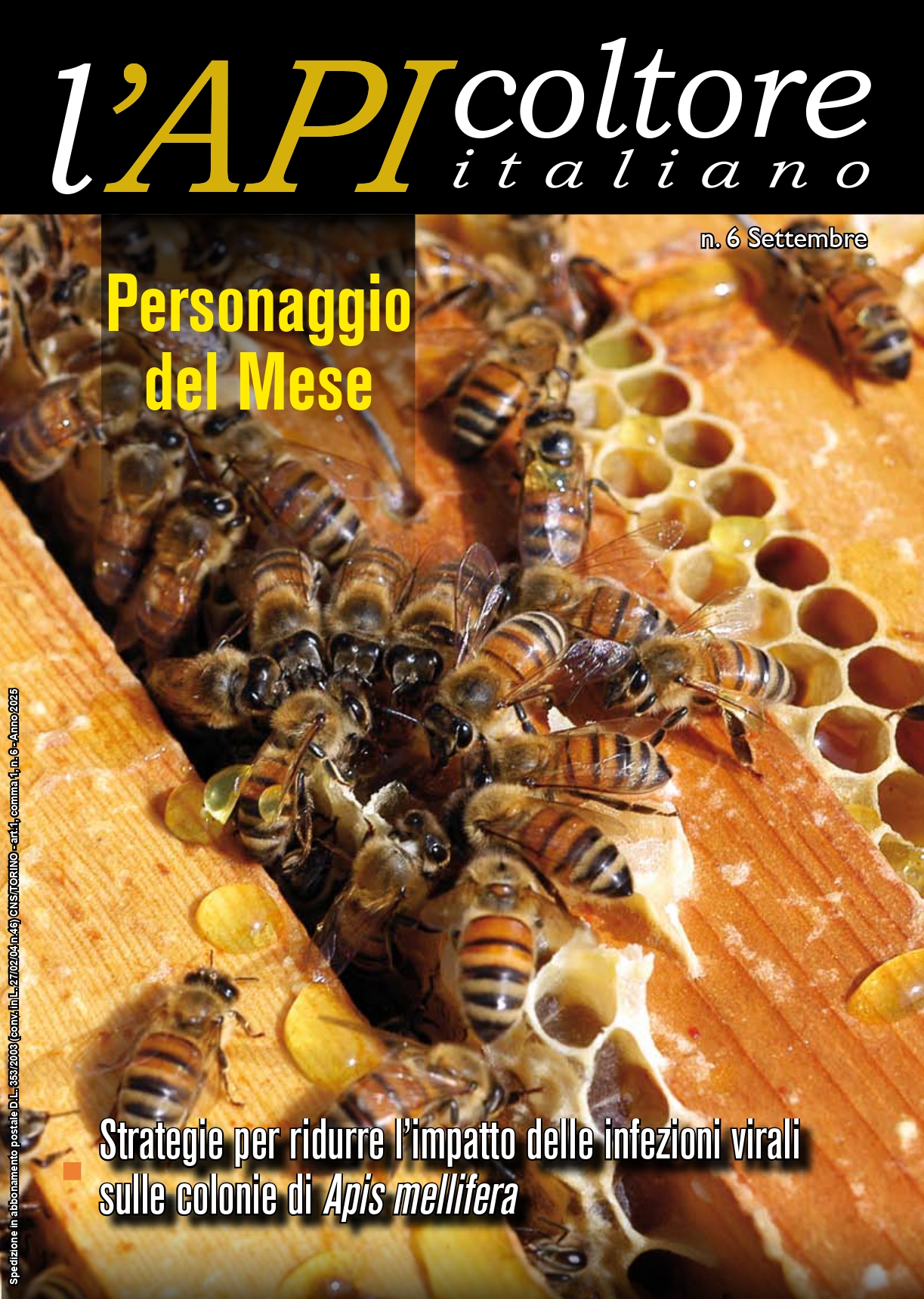 copertina 6 25